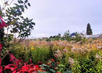 Nie chcą bloków, wolą zieleń i tereny rekreacyjne