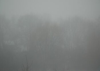 Gęste mgły. IMGW ostrzega