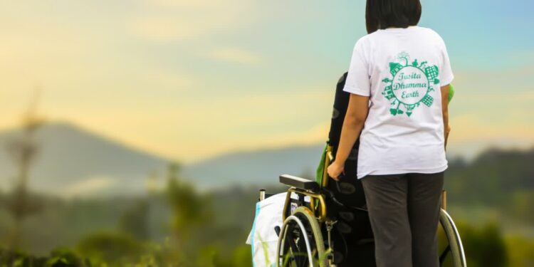 fot. www.pxhere.com / CC0 Domena publiczna