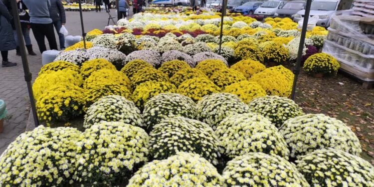 Handel kwitnie przy cmentarzu