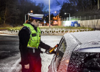 Czworo pijanych kierowców. Sobotnia akcja na gorzowskich drogach [ZDJĘCIA]