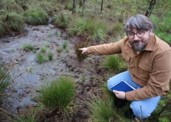 Mariusz Sobkowiak / facebook.com