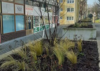 fot: FBMarta Bejnar Bejnarowicz