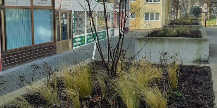 fot: FBMarta Bejnar Bejnarowicz