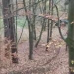 Fot. FB Gorzów-rozmowy o wszystkim