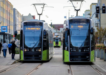 fot. Jan Wojtanowski/UM Gorzów