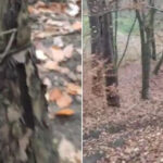 Fot. FB Gorzów-rozmowy o wszystkim