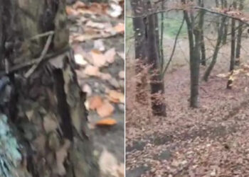 Fot. FB Gorzów-rozmowy o wszystkim