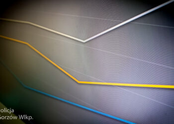 Fałszywa reklama i inwestycje zakończone stratą ponad 100 tysięcy złotych