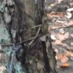 Fot. FB Gorzów-rozmowy o wszystkim