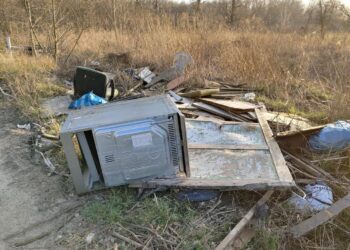 Magistrat wziął się za dzikie wysypiska i sadzi nowe drzewa