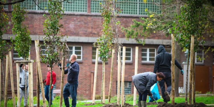 Bartłomiej Nowosielski / Gorzów www.facebook.com
