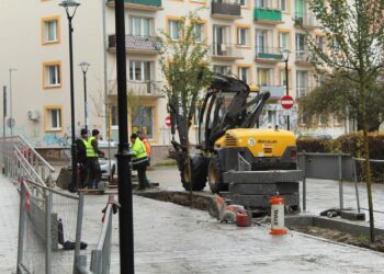 Zieleń na Wełnianym Rynku. Architekt miejski odpowiada mieszkańcom