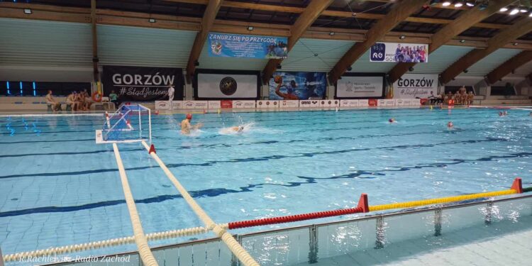 Alfa nie pozwoliła Waterpolo Poznań na zbyt wiele