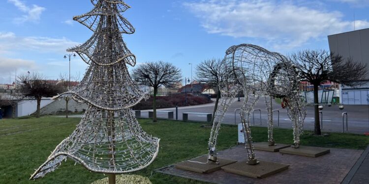 Fot. Piotr Wiśniewski