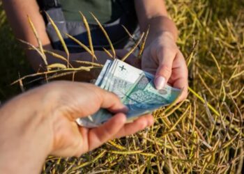 ARiMR zakończyła wypłatę zaliczek