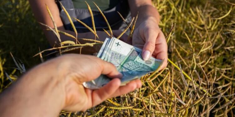 ARiMR zakończyła wypłatę zaliczek