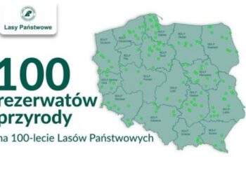 Nowy rezerwat w Nadleśnictwie Bogdaniec