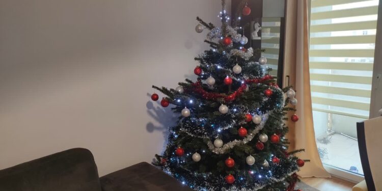 Co zrobić, żeby choinka dłużej stała?