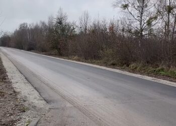 Gorzowskie Inwestycje Miejskie