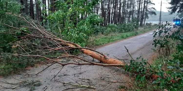 OSP Nowiny Wielkie - archiwum / www.facebook.com