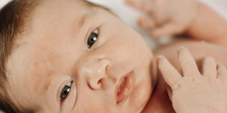 Juliane Monari / www.pexels.com