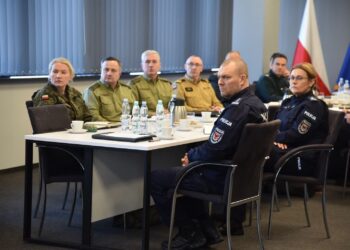 Kontrole na lubuskich odcinkach granicy z Niemcami. Powodem pryszczyca