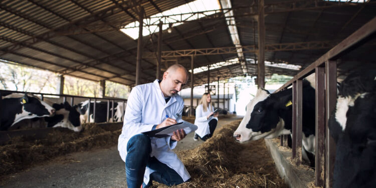 Zdjęcie ilustracyjne. Fot. Freepik