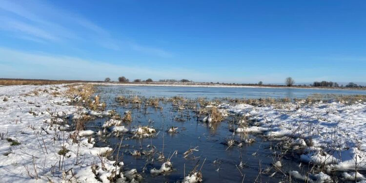 Park Narodowy "Ujście Warty" / www.facebook.com