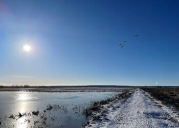 Park Narodowy "Ujście Warty" / www.facebook.com
