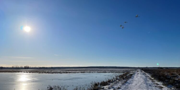 Park Narodowy "Ujście Warty" / www.facebook.com