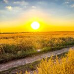 fot. Łukasz Kulczyński