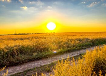 fot. Łukasz Kulczyński