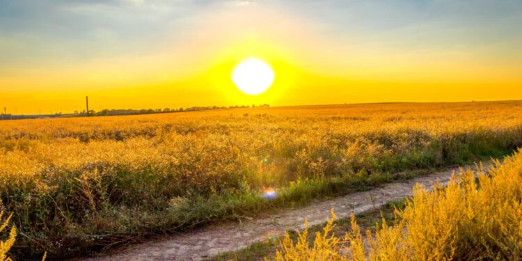 fot. Łukasz Kulczyński