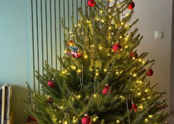 Kiedy rozbierać choinkę? Terminy