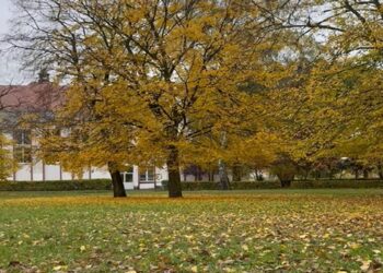 Gorzowskie Inwestycje Miejskie / www.facebook.com