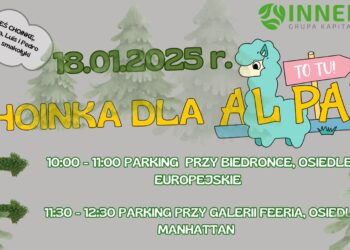 Choinka na śmietnik lub dla alpaki