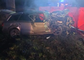 Tragiczny wypadek na krajowej 22 [AKTUALIZAJA]