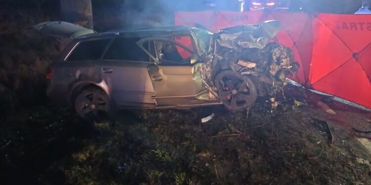 Tragiczny wypadek na krajowej 22 [AKTUALIZAJA]