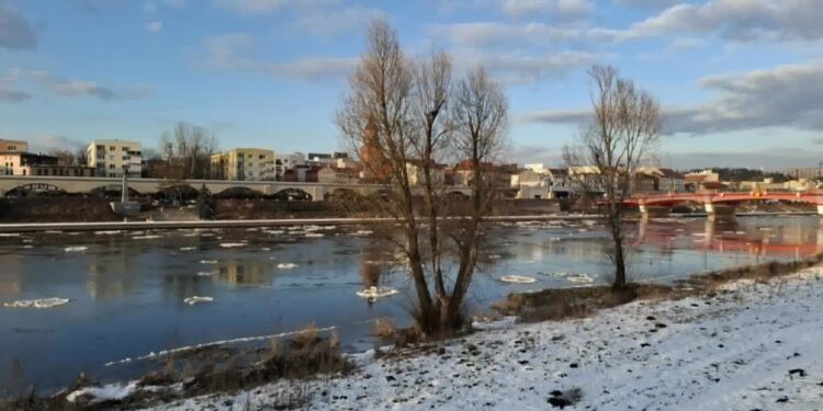 Wartą płynie śryż