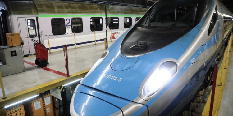 Fot. PAP/Wojciech Olkuśnik