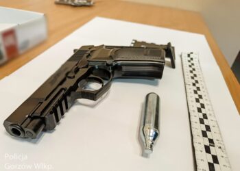 Strzelali z wiatrówki, są w rękach policji