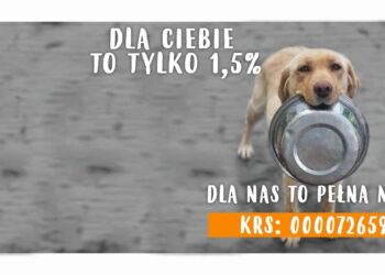 Pomagaj lokalnie: 1,5% podatku zostaw w Gorzowie! SPŻ Azyl