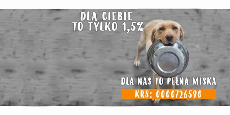 Pomagaj lokalnie: 1,5% podatku zostaw w Gorzowie! SPŻ Azyl