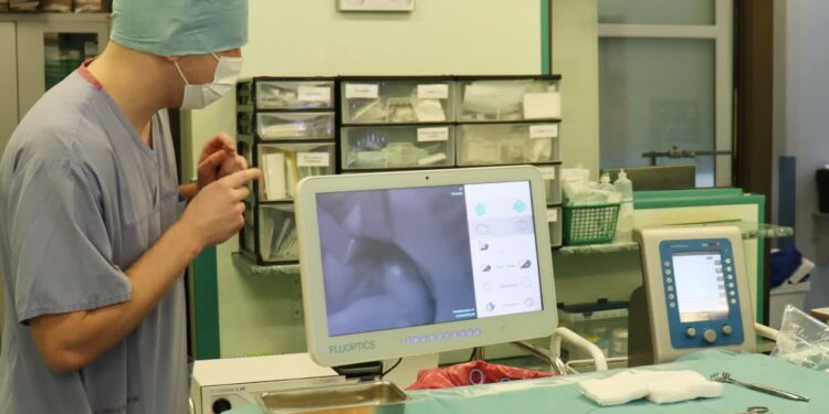 Fot. Szpital w Gorzowie Wlkp.