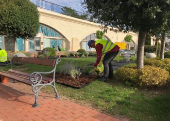 W Gorzowie Wlkp. zostanie posadzonych 12 tys. wiosennych roślin