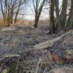 fot. Gorzowskie Inwestycje Miejskie