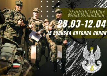 grafika:FBLubuscy Terytorialsi