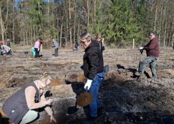 Posadzili 2 tysiące sadzonek dębu