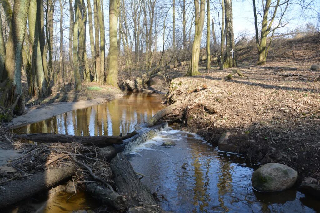 foto: PTTK Ziemia GorzowskaZbigniew Rudziński